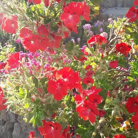 With 4 Bedrooms In With Wonderful Mountain View Private Pool Enclosed Garden 5 Km From The Beach Mafra